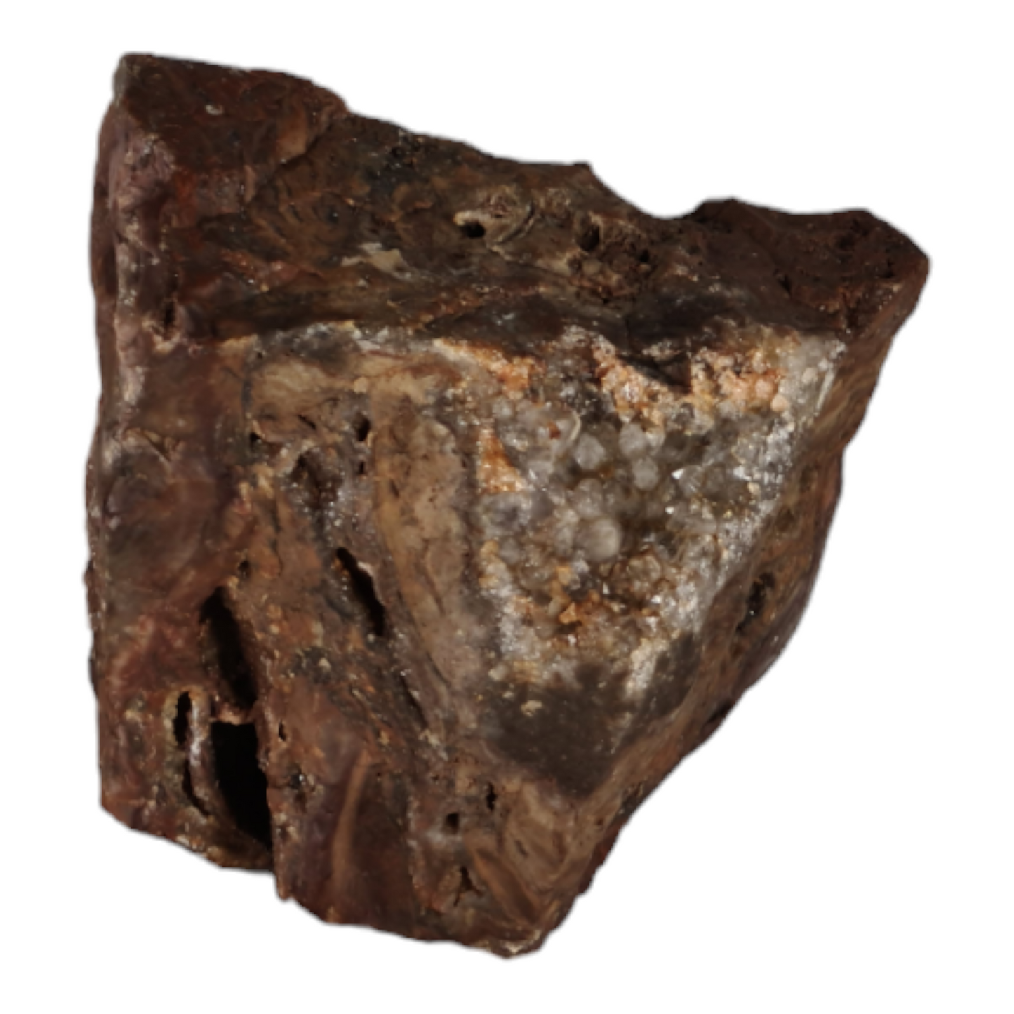 Stromatolite (with quartz crystal)