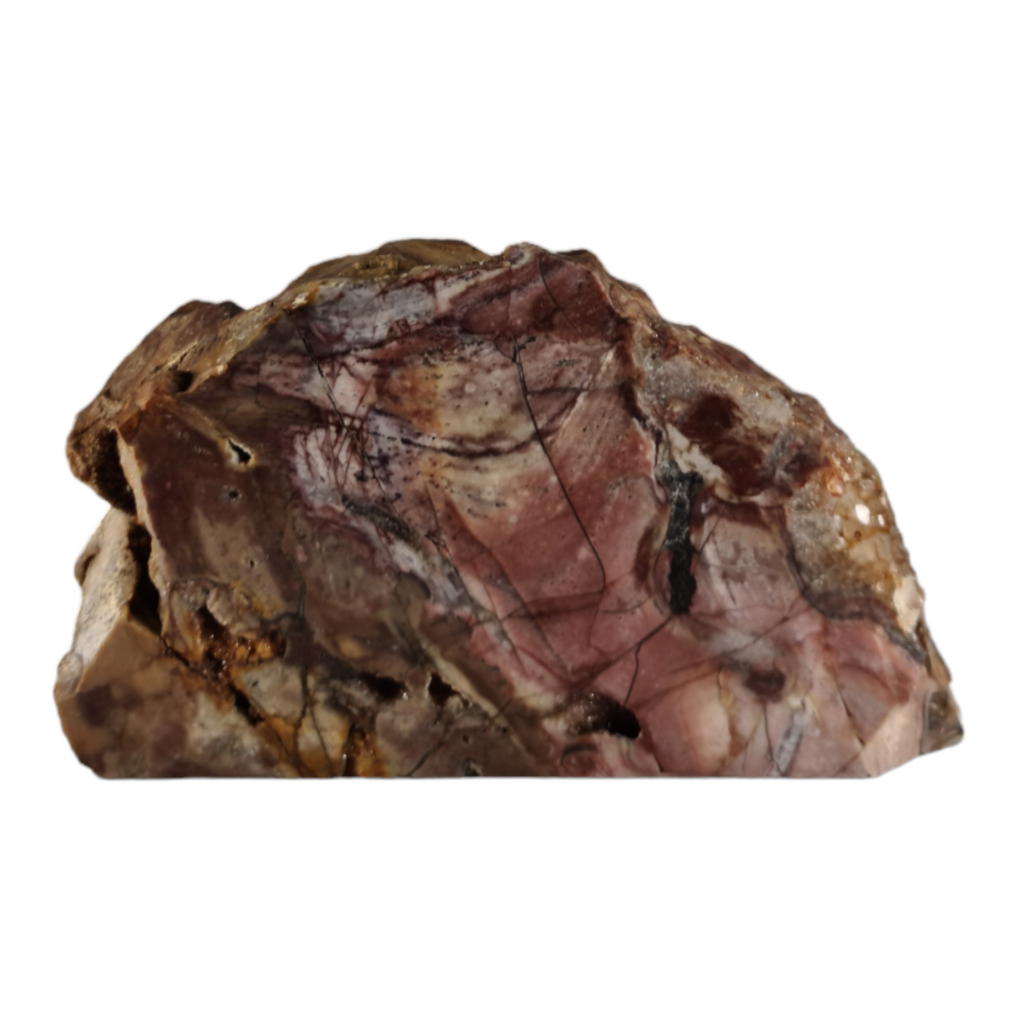 Stromatolite (with quartz and smokey quartz crystals) "Steak"