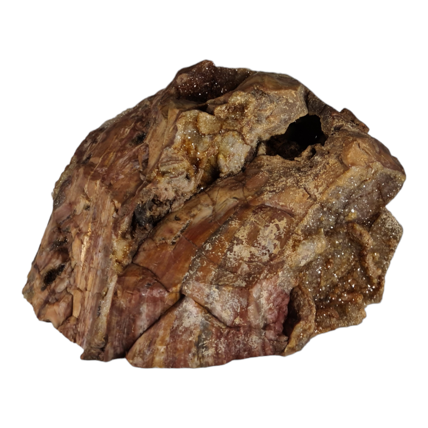 Stromatolite (with quartz and smokey quartz crystals) "Steak"
