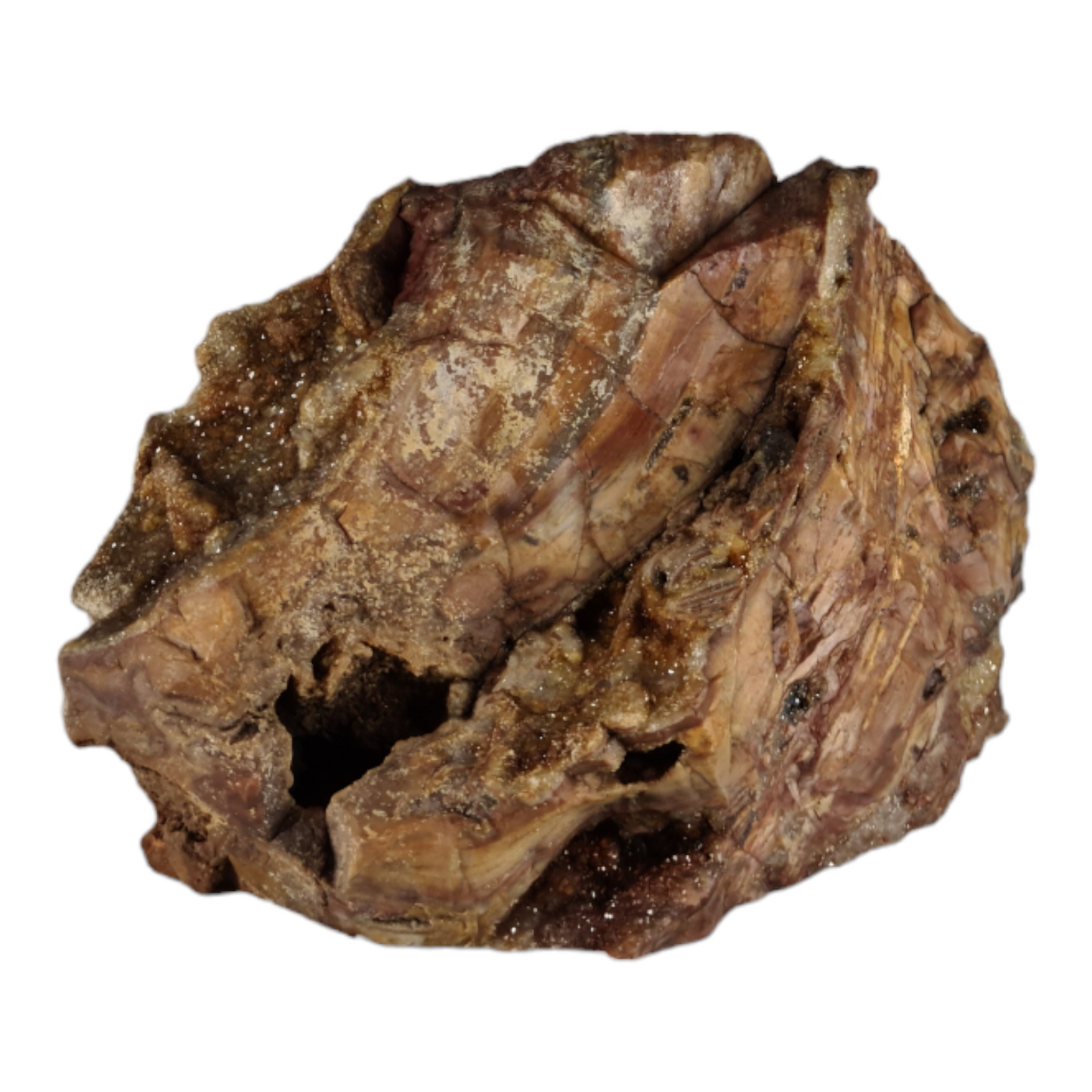 Stromatolite (with quartz and smokey quartz crystals) "Steak"