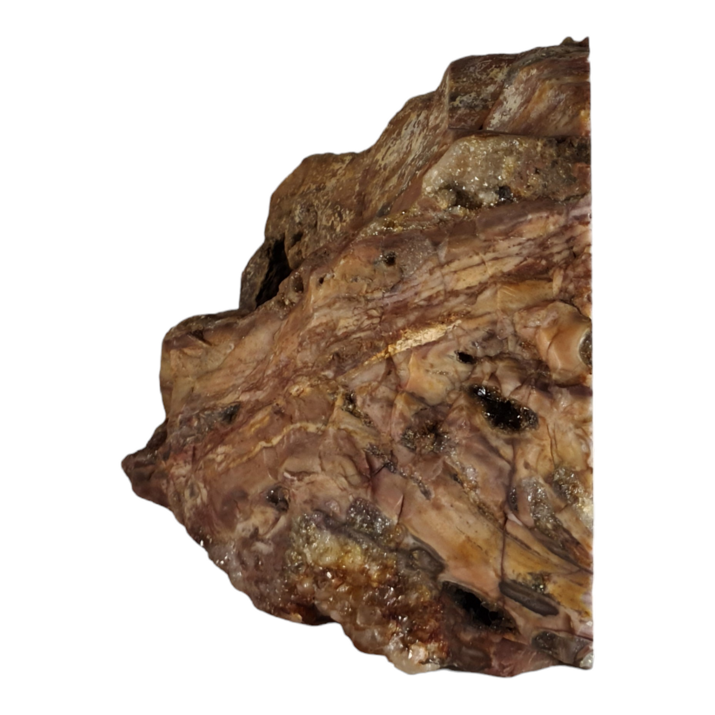 Stromatolite (with quartz and smokey quartz crystals) "Steak"