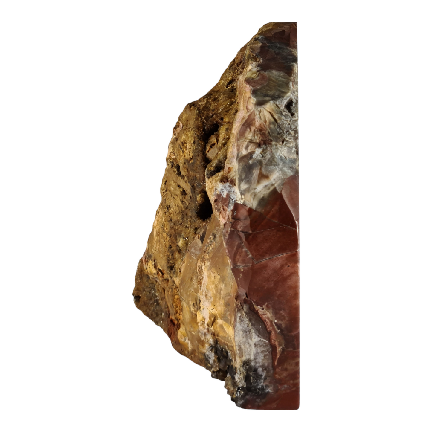 Stromatolite (with quartz and smokey quartz crystals) "Toast"