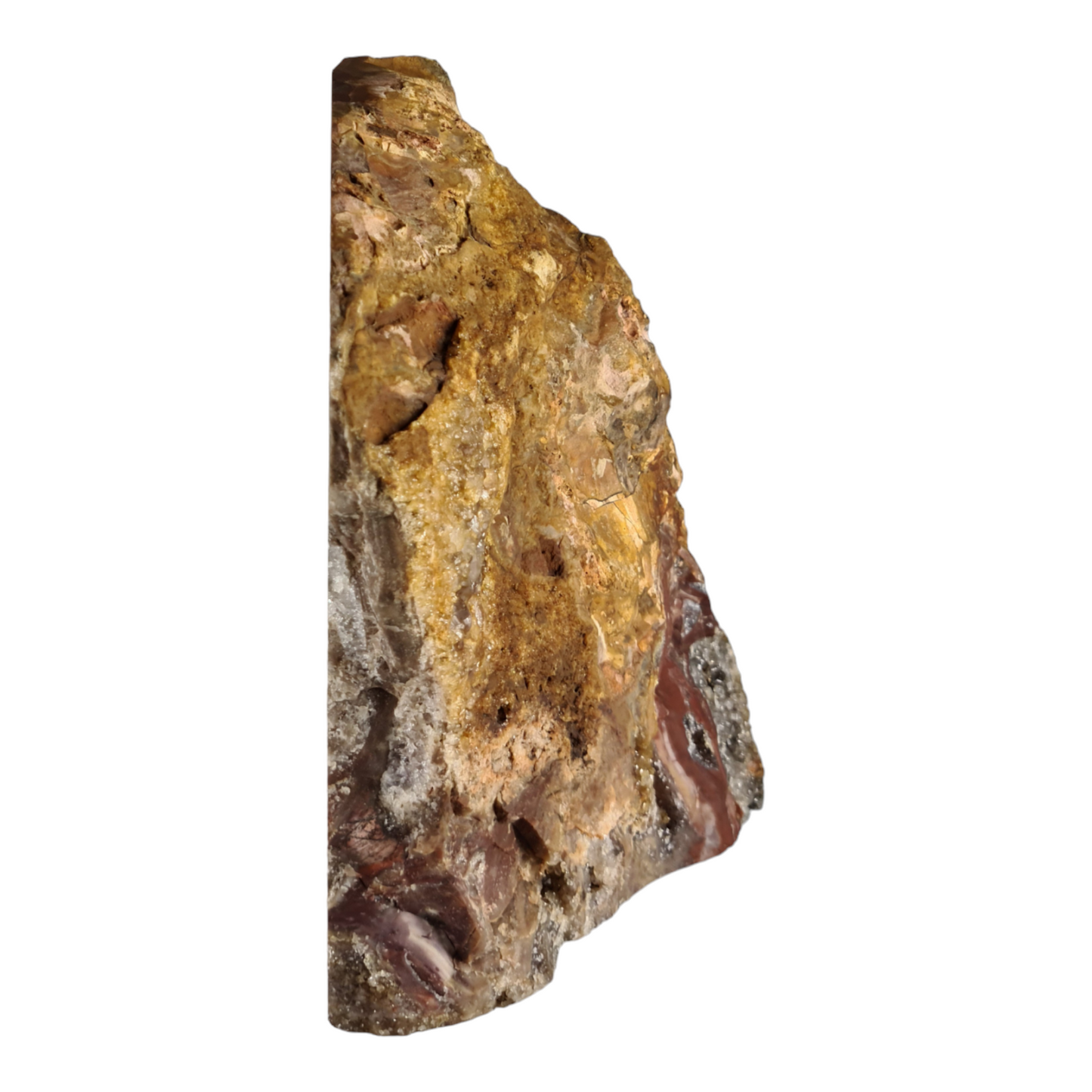 Stromatolite (with quartz and smokey quartz crystals) "Toast"