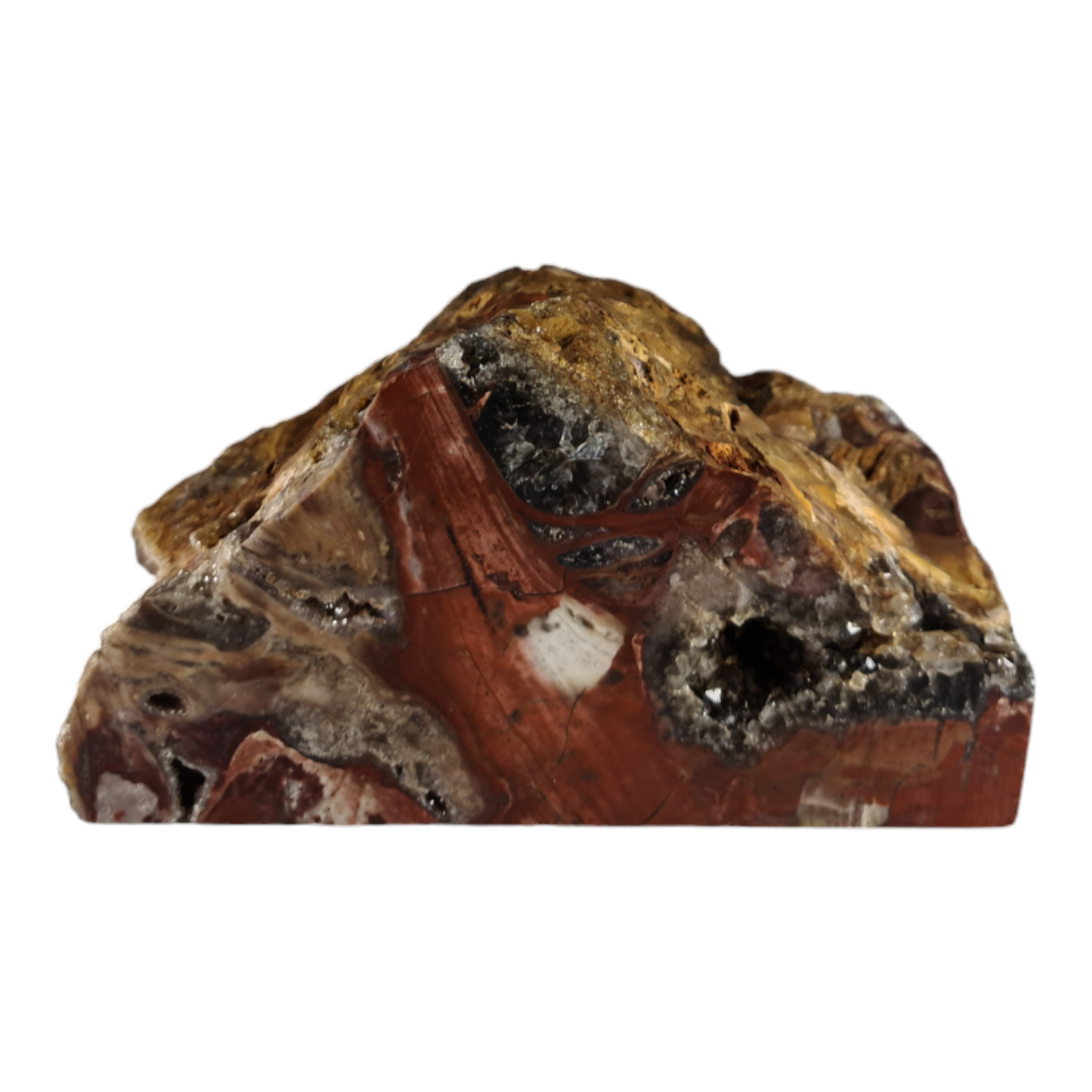 Stromatolite (with quartz and smokey quartz crystals) "Toast"