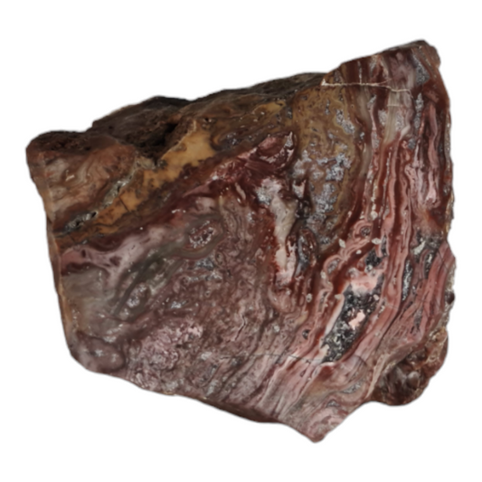 Stromatolite (with quartz crystal)
