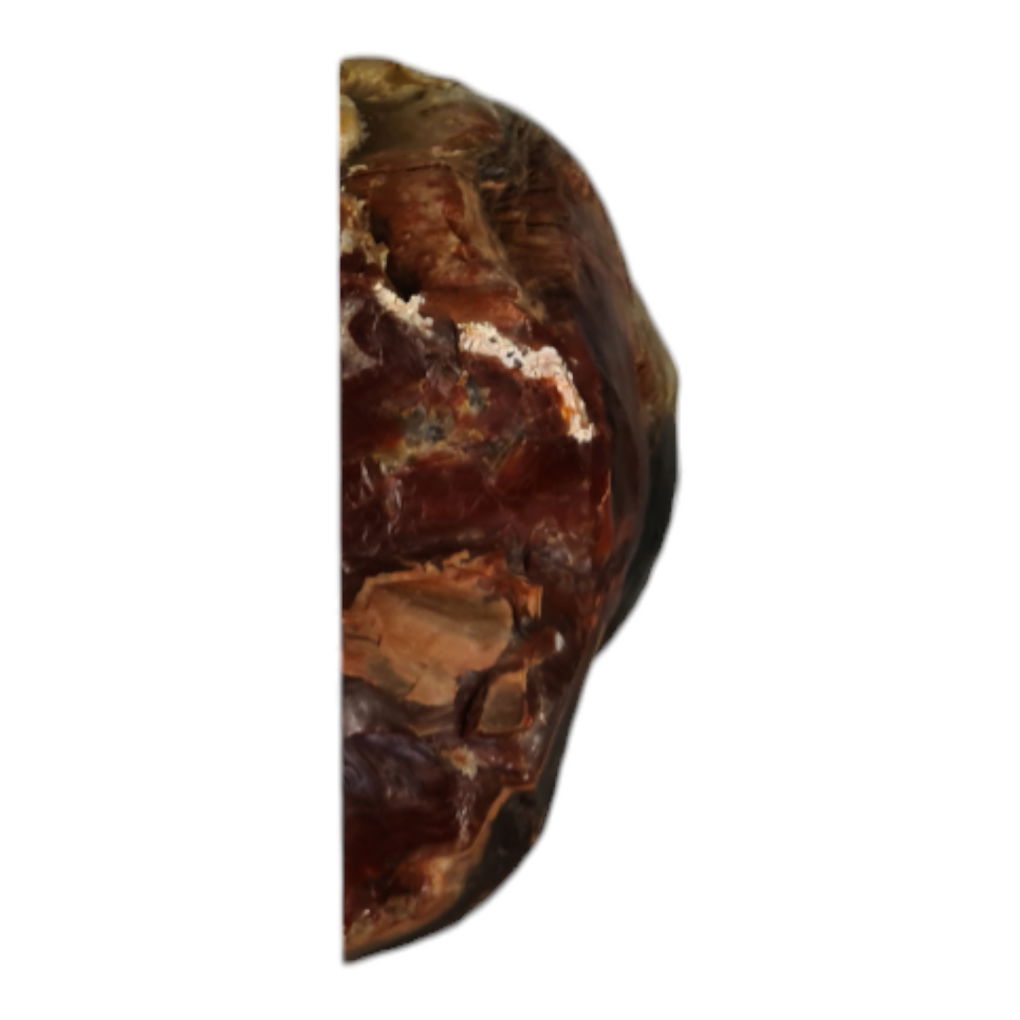 Petrified Wood