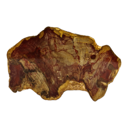 Petrified Wood (red)