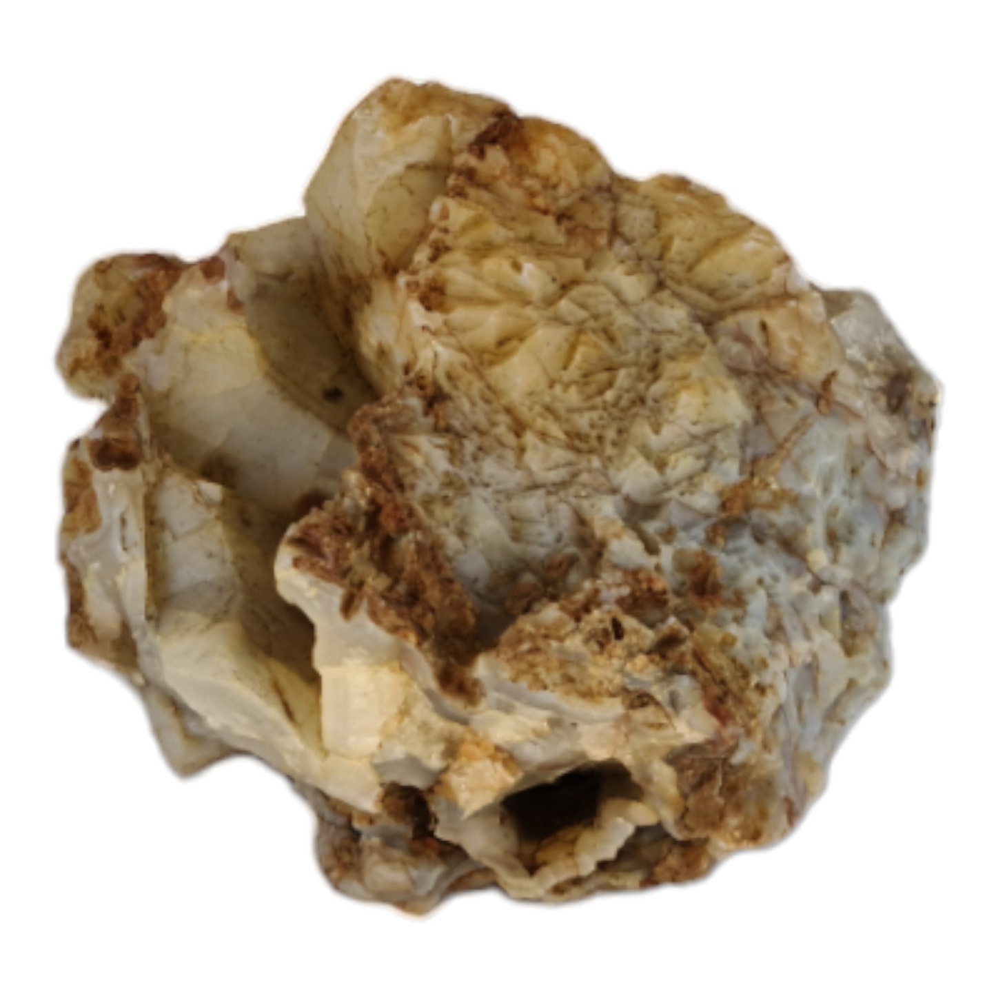 Quartz Crystal Geode "Cranium (skull without mandible)"