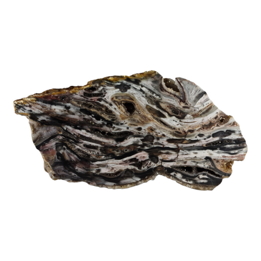 Stromatolite (with quartz and smokey quartz crystals) "Rhino Dino"