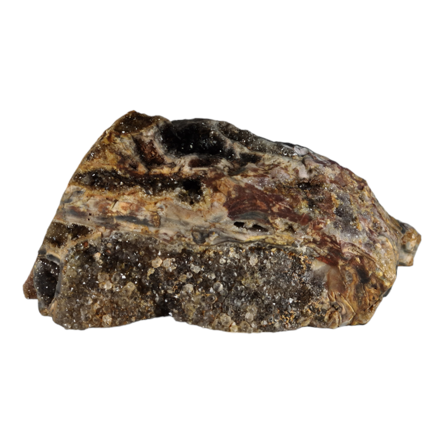 Stromatolite (with quartz and smokey quartz crystals) "Rhino Dino"
