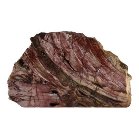 Stromatolite (with quartz and smokey quartz crystals) "Steak"