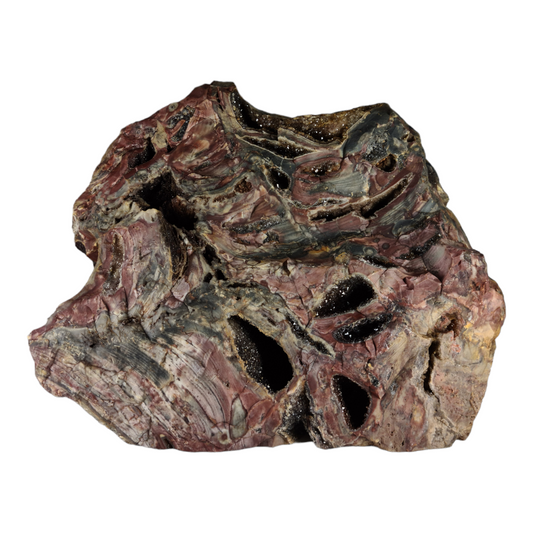 Stromatolite (with quartz and smokey quartz crystals)