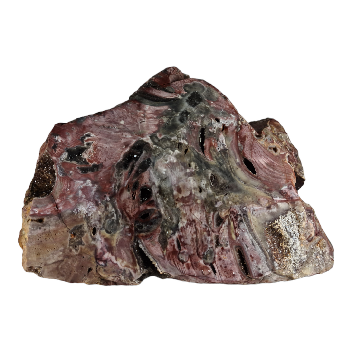 Stromatolite (with quartz and smokey quartz crystals)