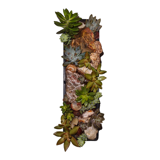 Embellished Succulent Garden