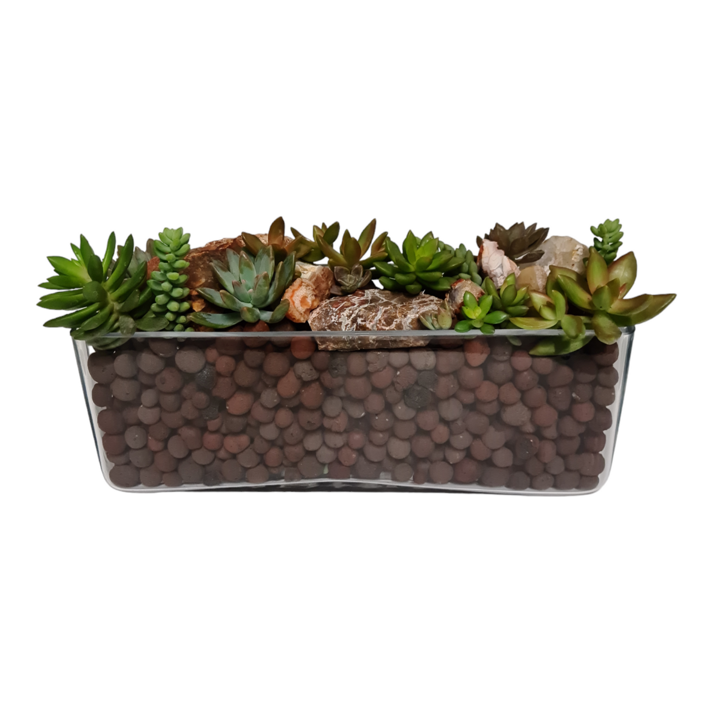 Embellished Succulent Garden