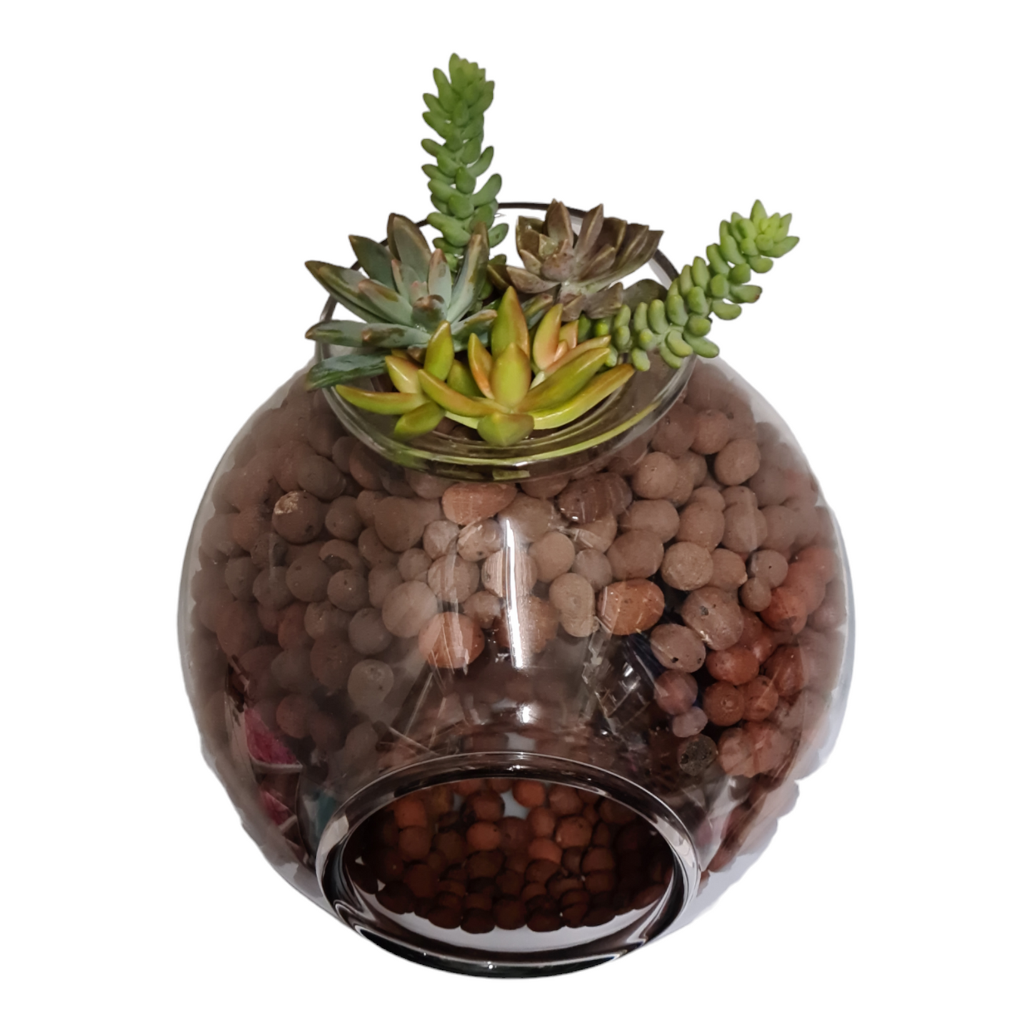 Embellished Succulent Garden