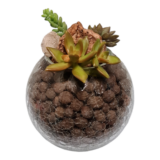 Embellished Succulent Garden